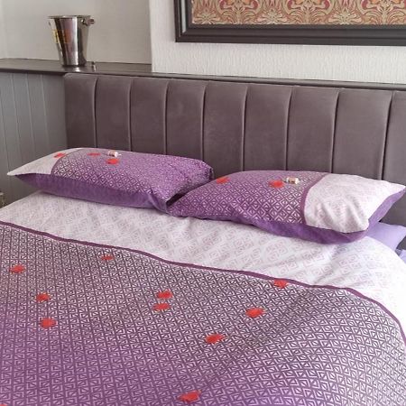 Rooms By Maes Y Mor Town Centre Aberystwyth Ngoại thất bức ảnh